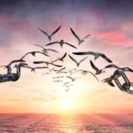 الوكالة لاتتبنى الافكار الواردة في المقالات وغير مسؤولة عنها قانونياً ..ونشرها هو لافساح المجال لمزيد من الحوارات وتبادل الآراء في جو من الحرية الملتزمة..