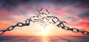 الوكالة لاتتبنى الافكار الواردة في المقالات وغير مسؤولة عنها قانونياً ..ونشرها هو لافساح المجال لمزيد من الحوارات وتبادل الآراء في جو من الحرية الملتزمة..